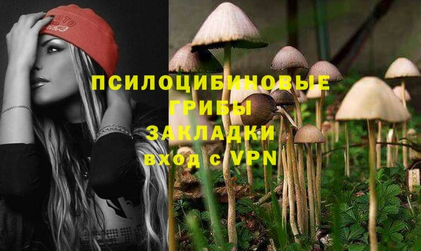 меф Тихвин