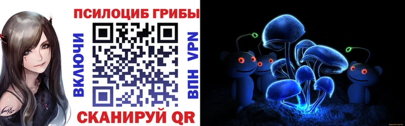 Галлюциногенные грибы Psilocybine cubensis  купить   Дербент 