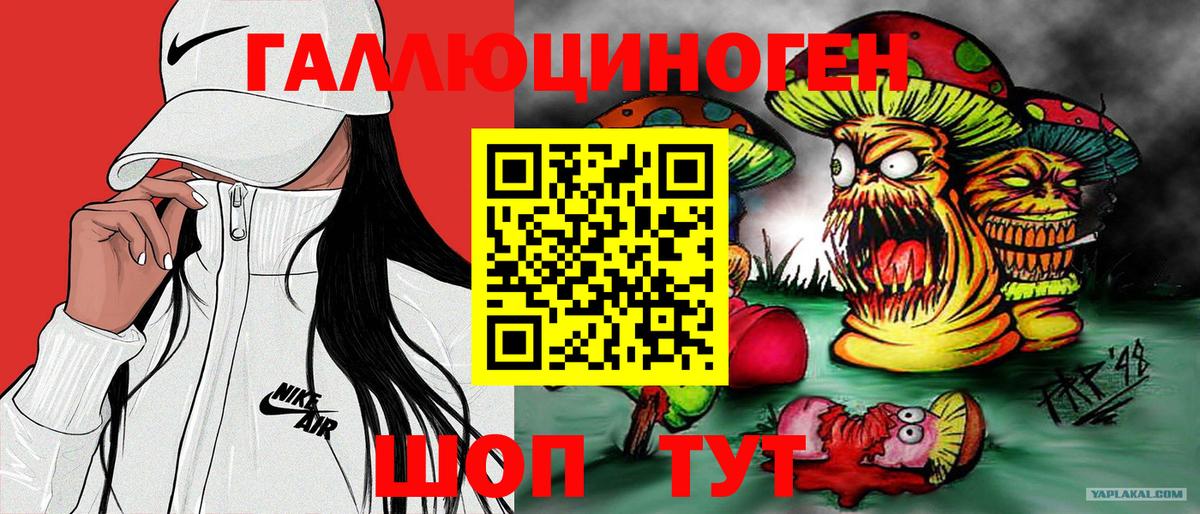 Галлюциногенные грибы мухоморы Дербент