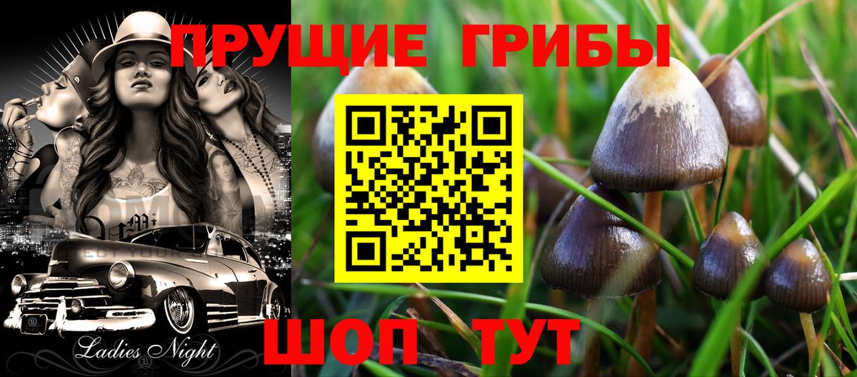 Дербент  Галлюциногенные грибы мухоморы  Вход с VPN 