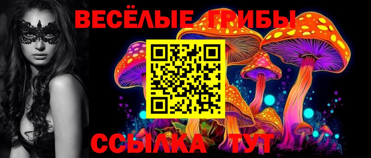 Галлюциногенные грибы Magic Shrooms Дербент